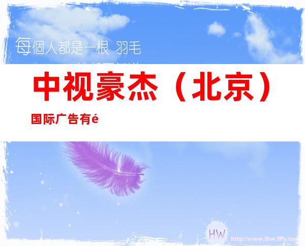 中视豪杰（北京）国际广告有限公司