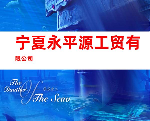 宁夏永平源工贸有限公司